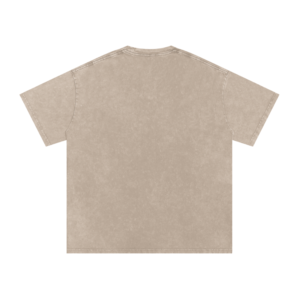 Signature Snow Washed Oversized T-Shirt