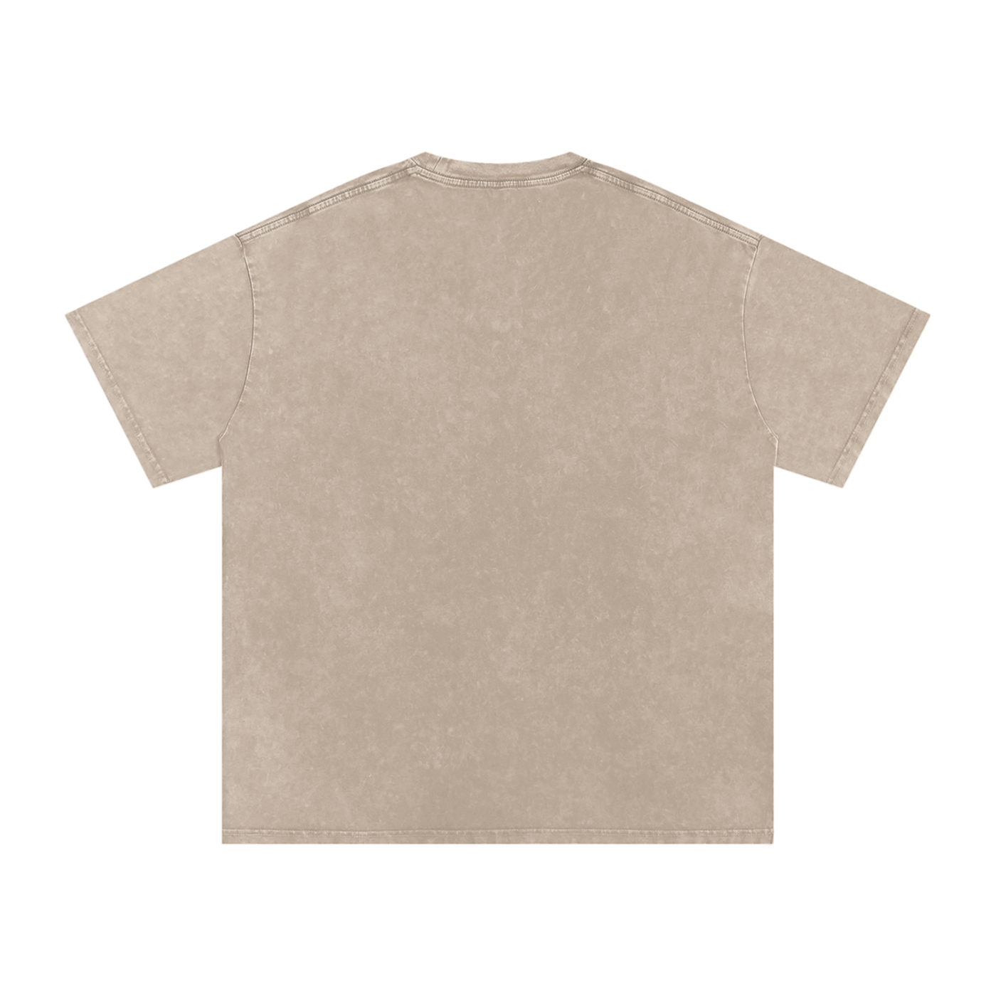 Signature Snow Washed Oversized T-Shirt